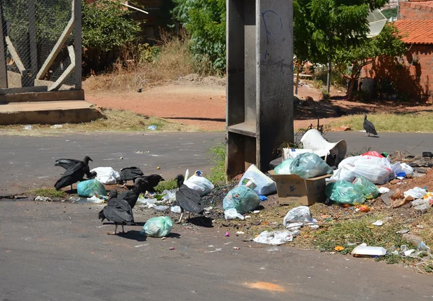 Lixo se acumula nas ruas do bairro Aerolândia em Picos