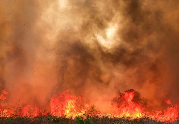 Incêndio de grande proporção atinge fazenda em Teresina