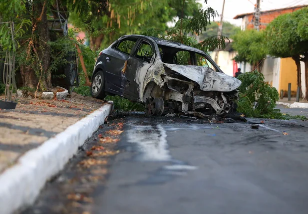 Carro pega fogo após colidir com árvore no bairro Promorar