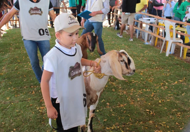 Festa dos Vaqueiros encanta população do município de Simplício Mendes