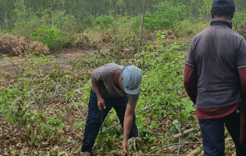 MPT resgata trabalhadores em situação análoga à escravidão no Piauí