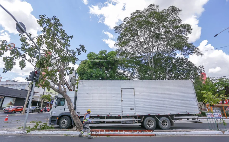 Árvore cai em cima de caminhão na zona leste de Teresina GP1