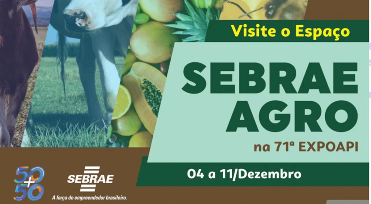 Revista Sebrae no Acre - Ano 1 by Sebrae no Acre - Issuu