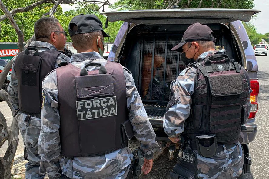 Policiais na ação