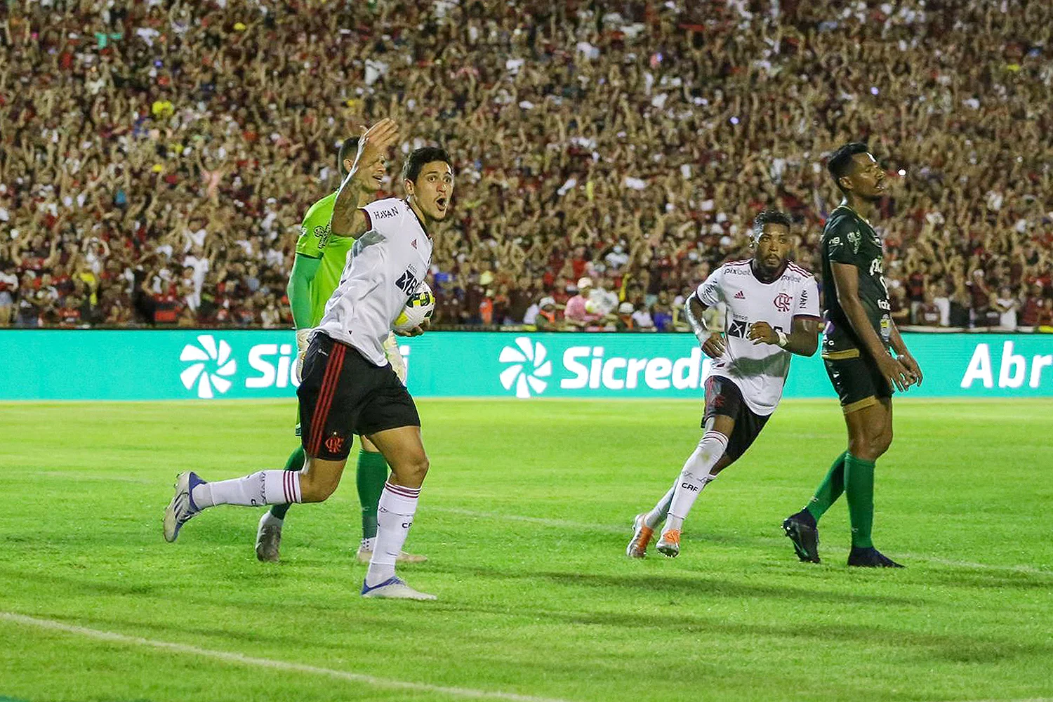 Lances do jogo Flamengo e Tiradentes no Albertão