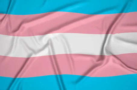 Bandeira Trans