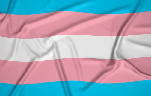 Bandeira Trans