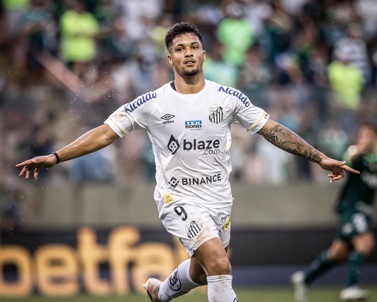 Marcos Leonardo está a um golzinho de alcançar marca histórica no Santos -  Revista Santista