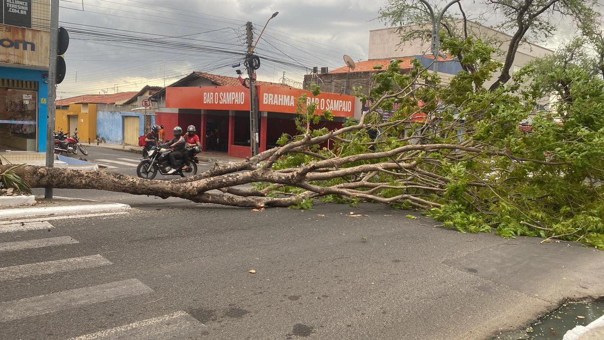 Vendaval em Teresina causou estragos