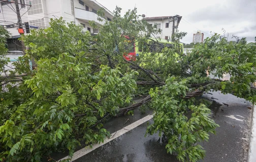 A previsão é de chuvas entre 20 e 30 mm/h ou até 50 mm/dia e ventos entre 40 e 60  km/h