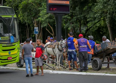 Carroceiros também participaram da manifestação