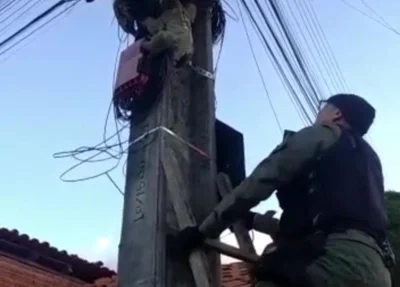 Policiais resgatam bicho-preguiça em poste na zona norte de Teresina