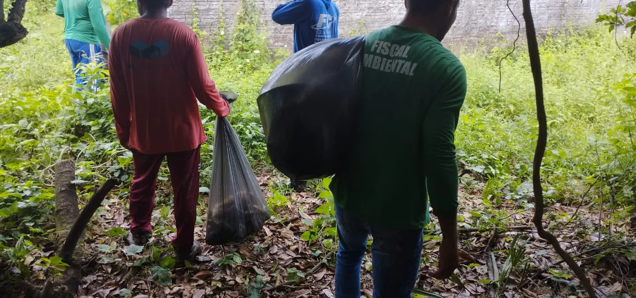 Prefeitura de Joaquim Pires realiza limpeza de nascentes