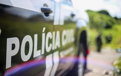 Equipe da Polícia Civil do Piauí atendeu a ocorrência