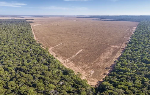 Desmatamento no Cerrado