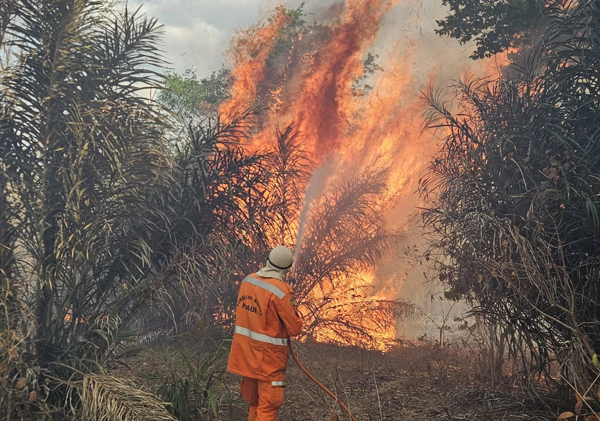 Bombeiro em combate à incêndio na cidade de Cocal dos Alves