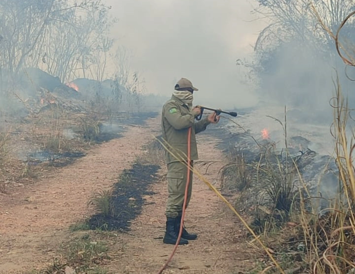 Bombeiros debelam chamas em terreno na UFPI