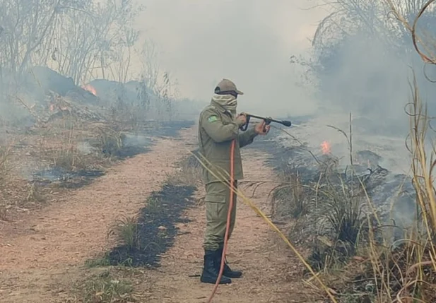 Bombeiros debelam chamas em terreno na UFPI