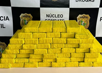 Cocaína apreendida pela Polícia Civil do Ceará.