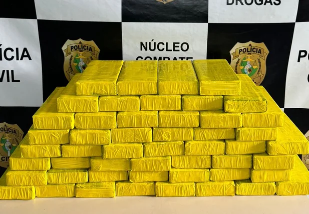 Cocaína apreendida pela Polícia Civil do Ceará.