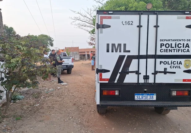 Equipes do Departamento de Polícia Científica e do IML de Teresina