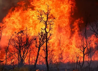 Incêndio de grandes proporções em Brasília