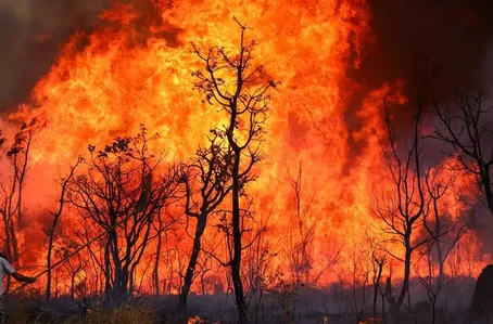 Incêndio de grandes proporções em Brasília