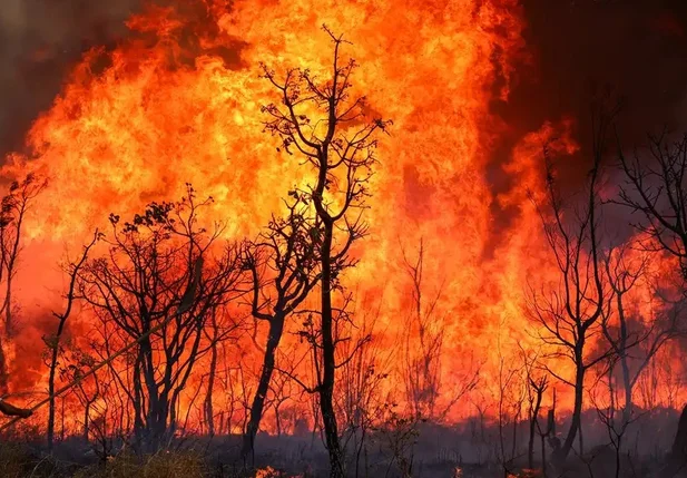 Incêndio de grandes proporções em Brasília