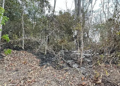 Incêndio foi controlado em Nazária