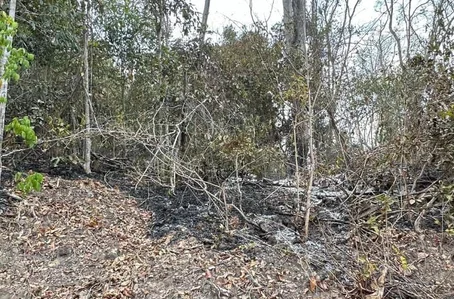 Incêndio foi controlado em Nazária