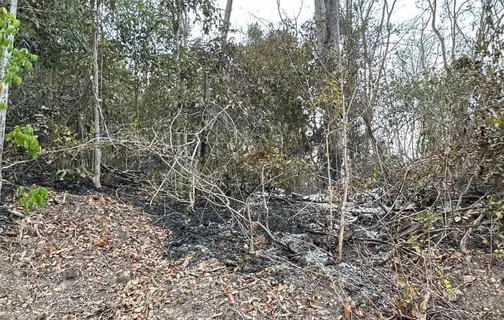 Incêndio foi controlado em Nazária