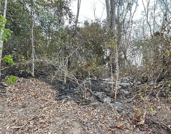 Incêndio foi controlado em Nazária