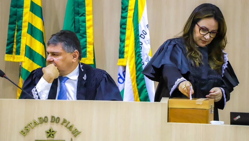 Kennedy Barros foi reeleito presidente do TCE-PI