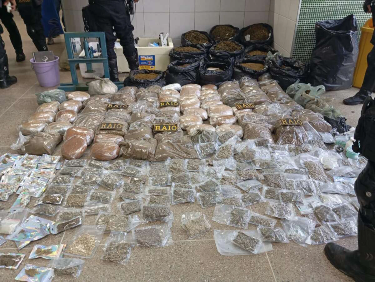 Polícia apreende 121 kg de maconha no Ceará