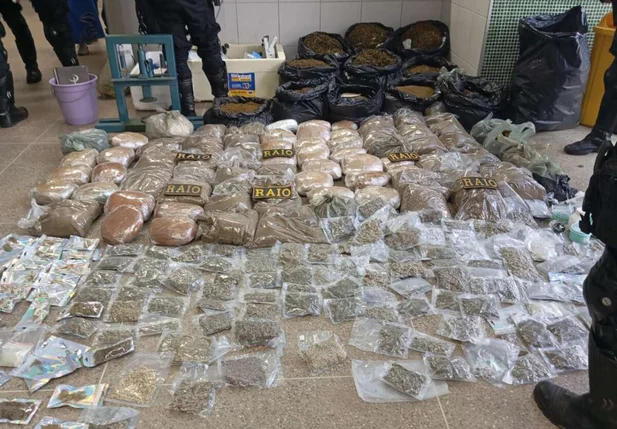 Polícia apreende 121 kg de maconha no Ceará