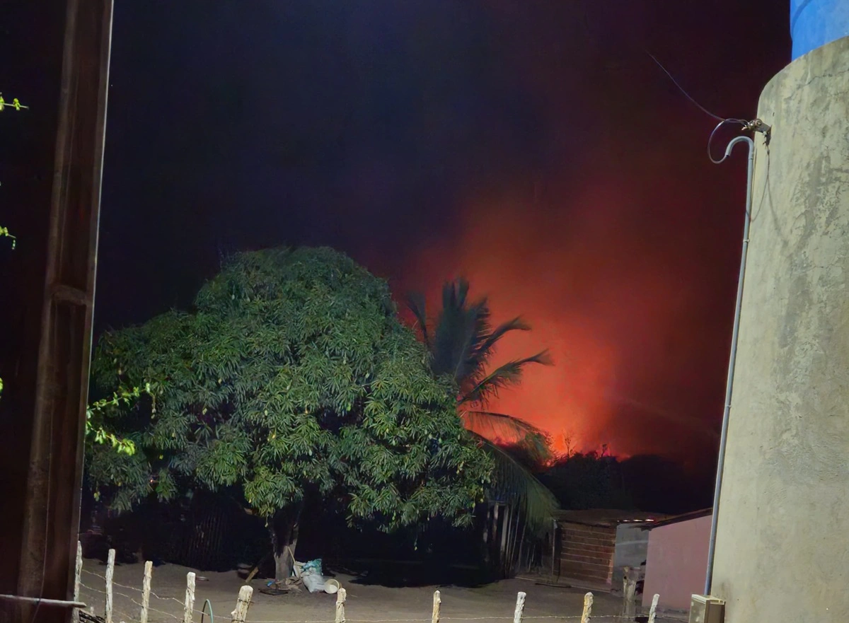 Populares temem chegada das chamas nas propriedades em Cocal dos Alves