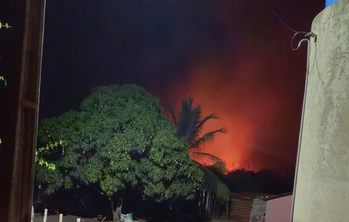 Populares temem chegada das chamas nas propriedades em Cocal dos Alves