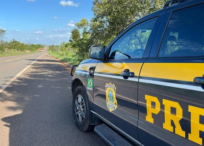 PRF apreende caminhões com madeira ilegal em operação contra crime ambiental.