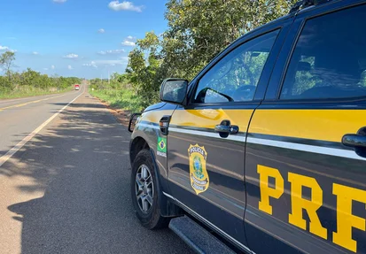 PRF apreende caminhões com madeira ilegal em operação contra crime ambiental.