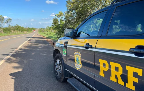 PRF apreende caminhões com madeira ilegal em operação contra crime ambiental.