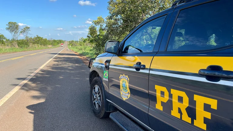 PRF apreende caminhões com madeira ilegal em operação contra crime ambiental.