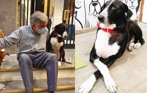 Ratan Tata e seu cachorro de estimação