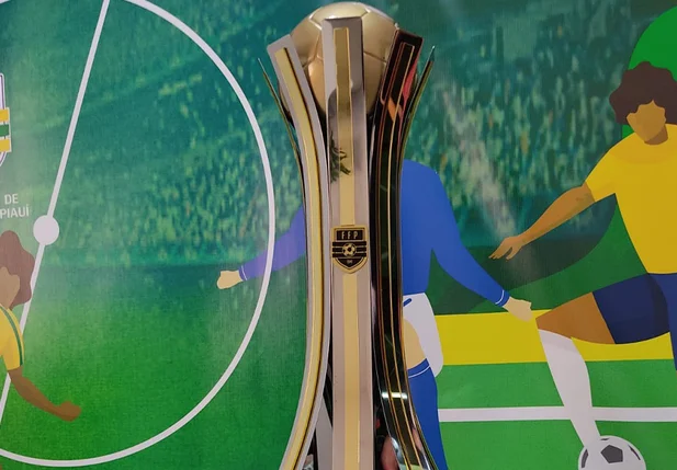 Taça do Campeonato Piauiense Série B 2024