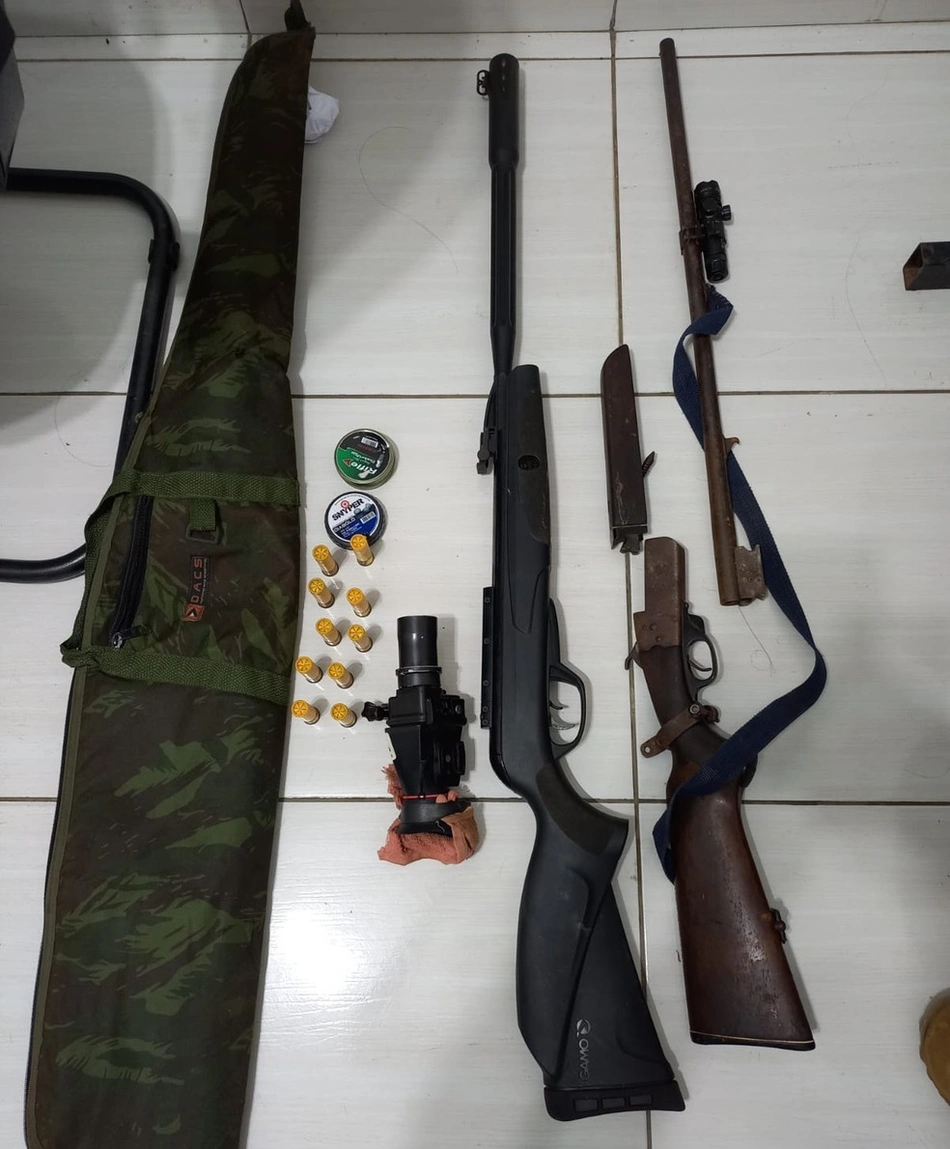 Armas apreendidas em situação irregular.