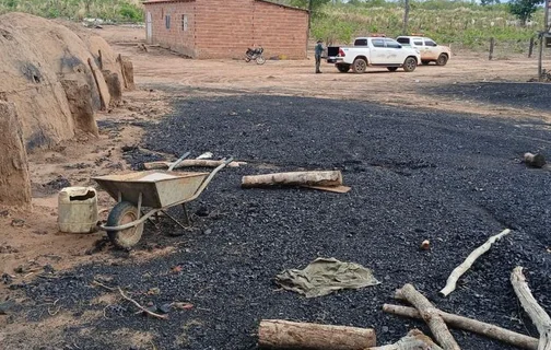 Carvoaria em Corrente é interditada