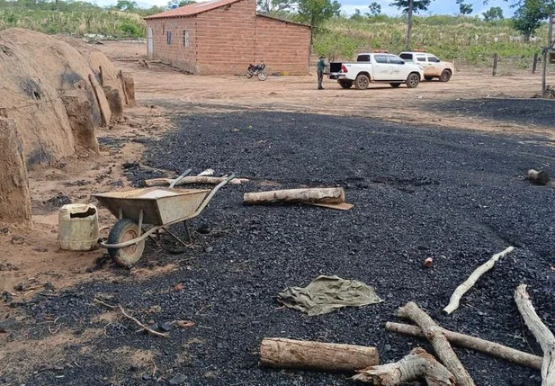 Carvoaria em Corrente é interditada