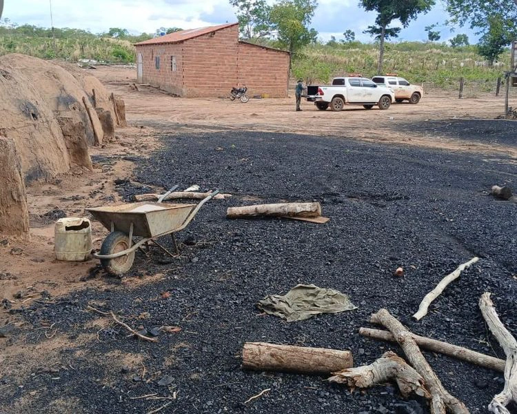 Carvoaria em Corrente é interditada