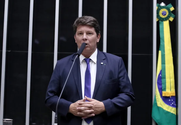 Deputado Mario Frias