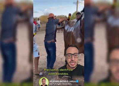 Deputado Matheus Laiola denuncia caso de maus tratos a cavalo no Piauí