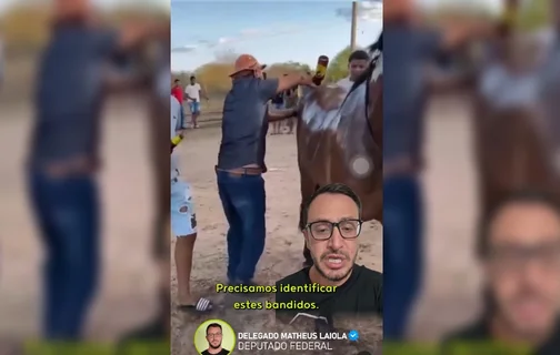 Deputado Matheus Laiola denuncia caso de maus tratos a cavalo no Piauí